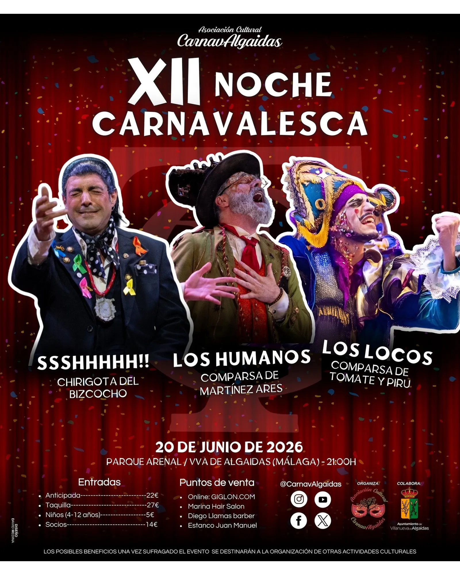 Cartel de XII Noche Carnavalesca en Villanueva de Algaidas (Málaga)
